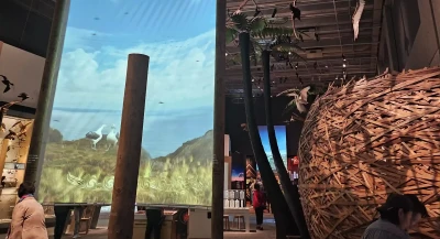 Te Papa nature exhibit features a tall interactive projection birds attached to the ceiling and a man made large bird nest to the right. 