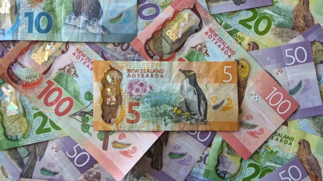 A range of New Zealand money notes spread out