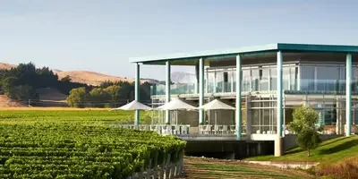 Vineyard with two story modern teal building with cafe umbrellas outside