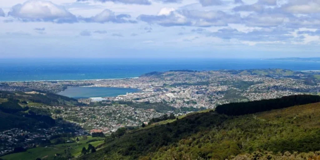 A view of Dunedin from Mount Cargill