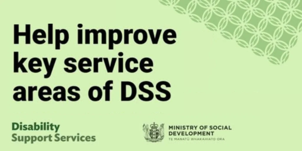 The words 'Help improve key service areas of DSS' written in dark green on light green background.