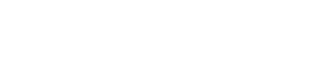 Disability Support Services logo